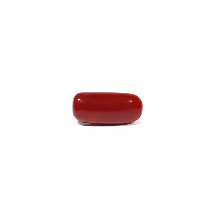 Red Coral - 5.91 Carat - Pramogh