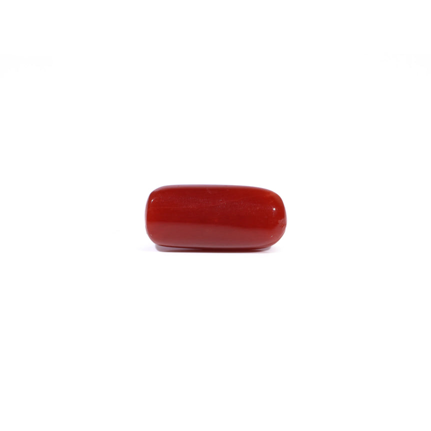 Red Coral - 5.91 Carat