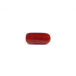 Red Coral - 5.91 Carat
