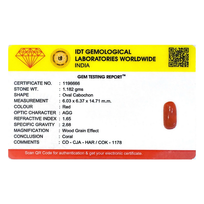 Red Coral - 5.91 Carat