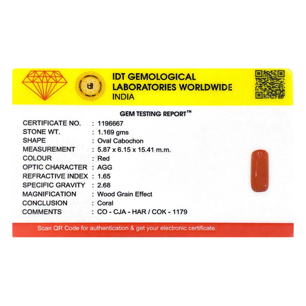Red Coral - 5.85 Carat