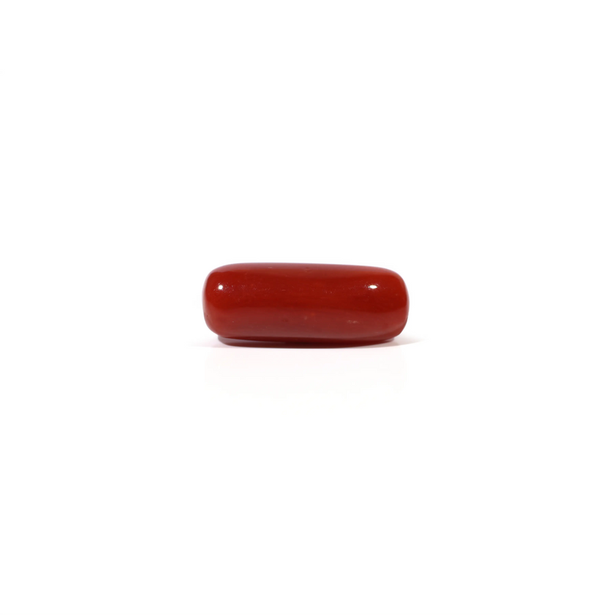 Red Coral - 5.3 Carat - Pramogh