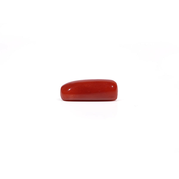Red Coral - 5.3 Carat