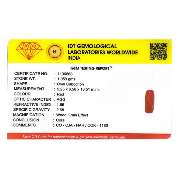 Red Coral - 5.3 Carat