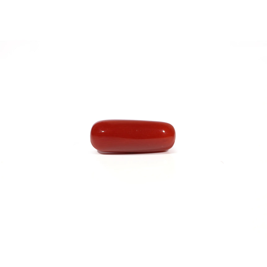 Red Coral - 5.77 Carat - Pramogh