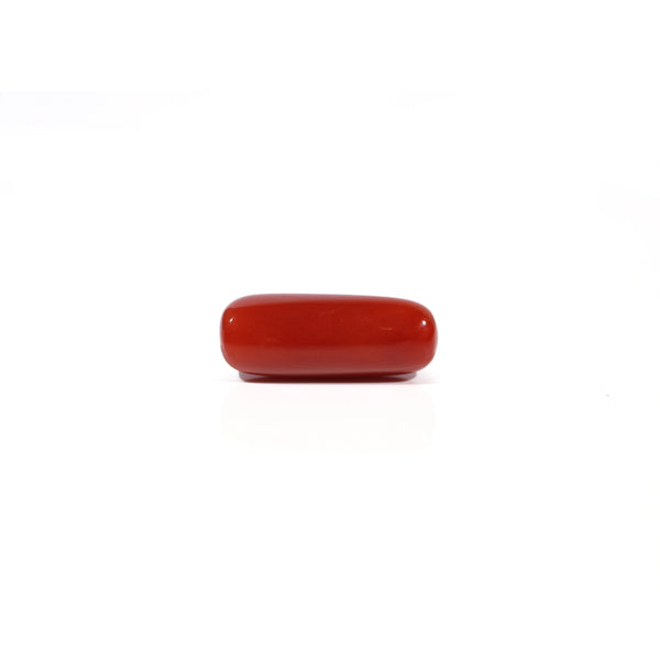 Red Coral - 5.77 Carat