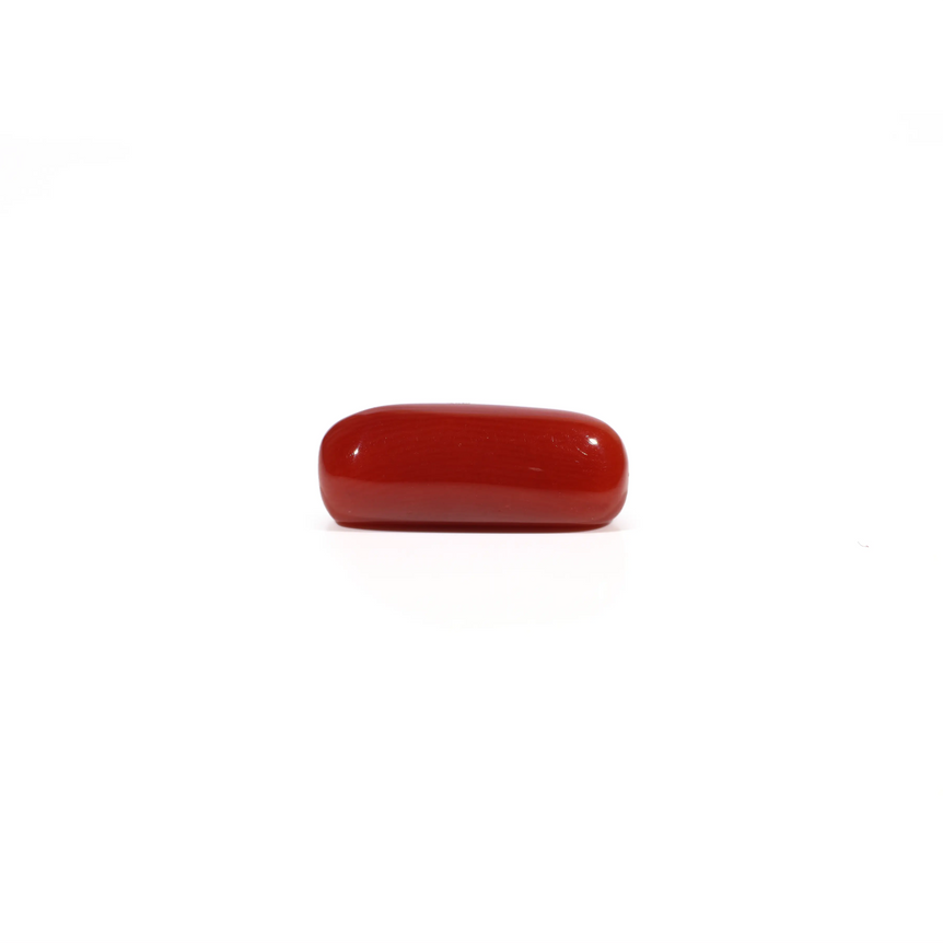 Red Coral - 5.77 Carat
