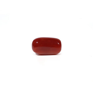 Red Coral - 5.13 Carat - Pramogh