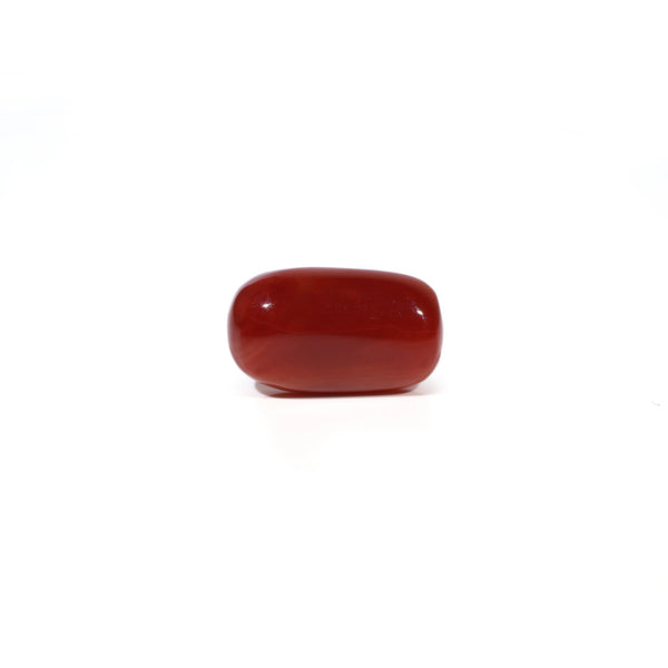 Red Coral - 5.13 Carat - Pramogh