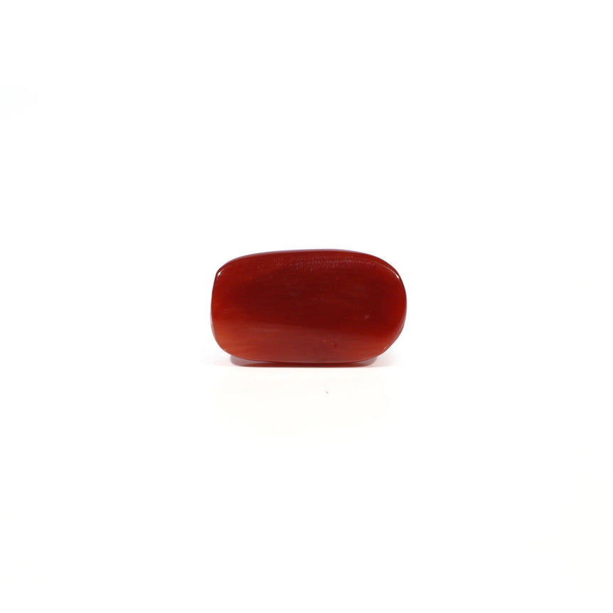 Red Coral - 5.13 Carat