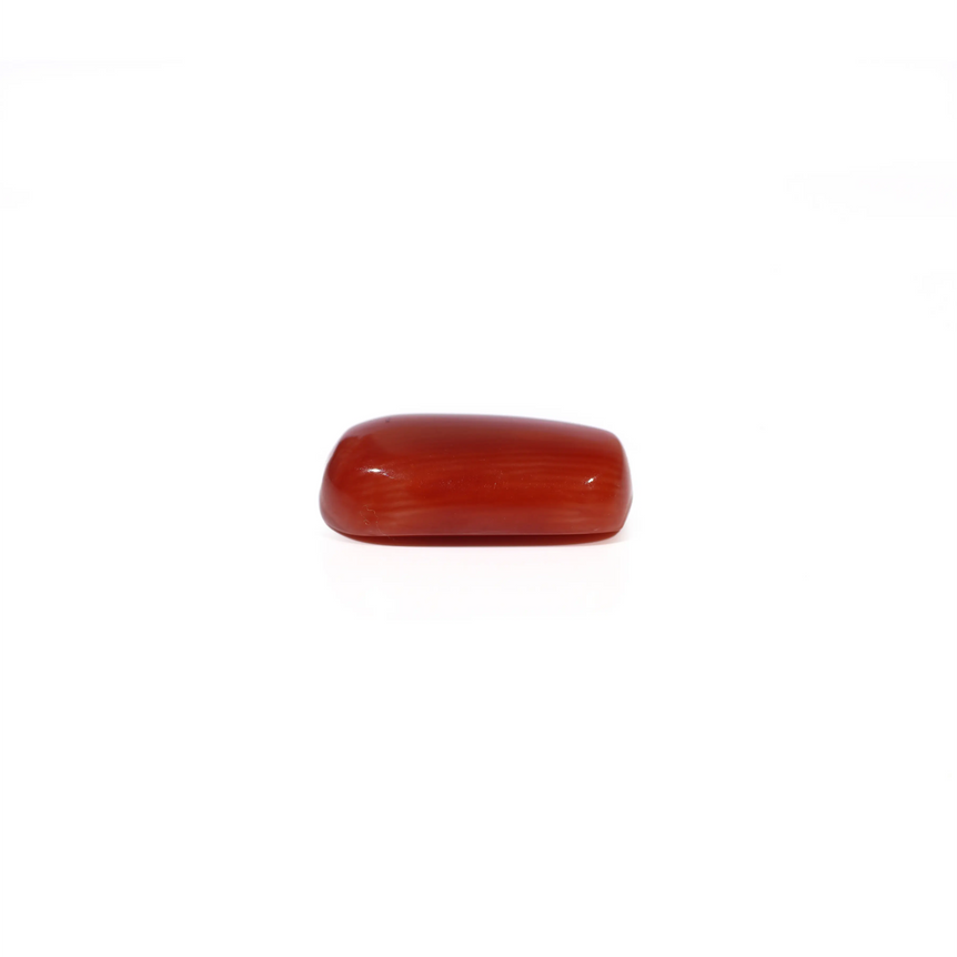 Red Coral - 5.13 Carat