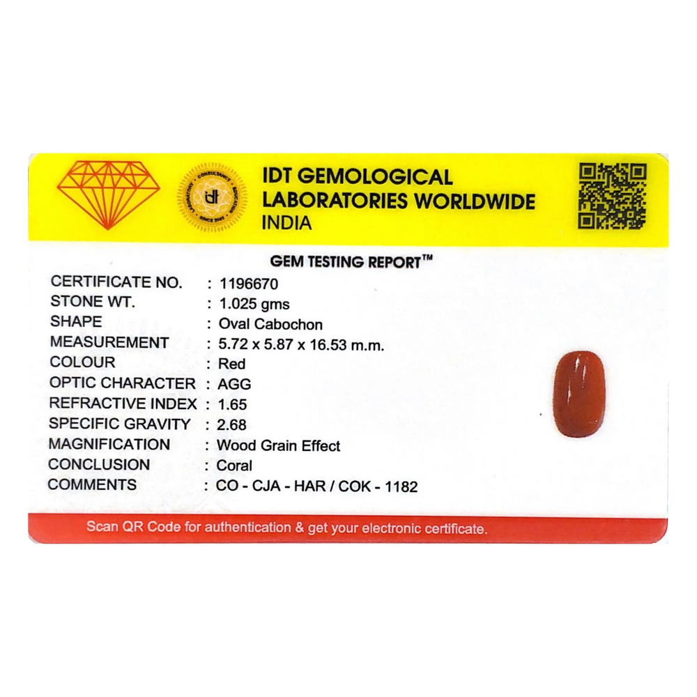 Red Coral - 5.13 Carat