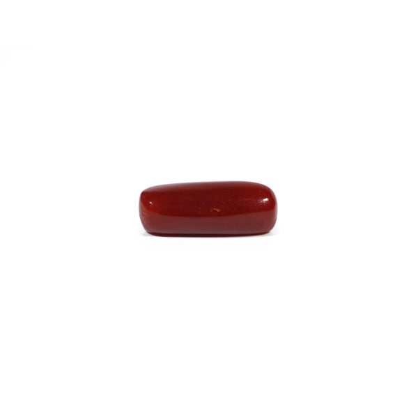Red Coral - 5.65 Carat