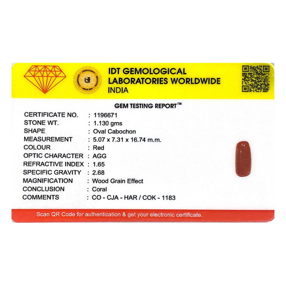 Red Coral - 5.65 Carat