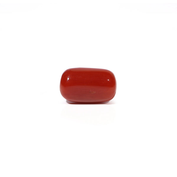 Red Coral - 5.4 Carat - Pramogh