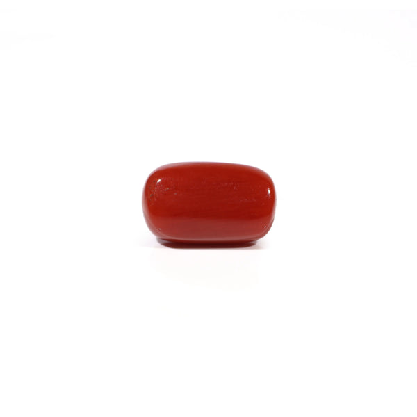 Red Coral - 5.4 Carat