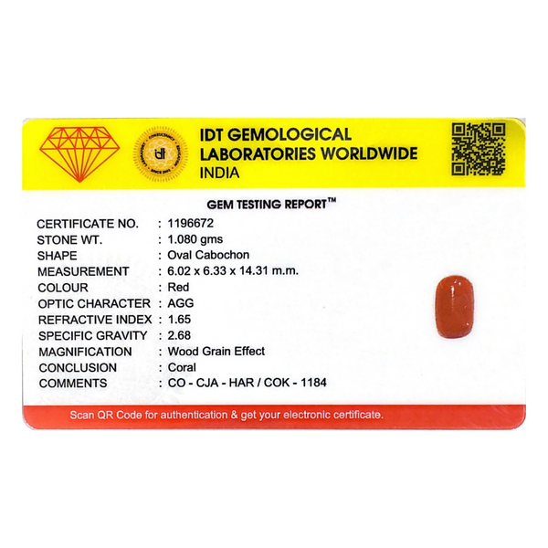 Red Coral - 5.4 Carat