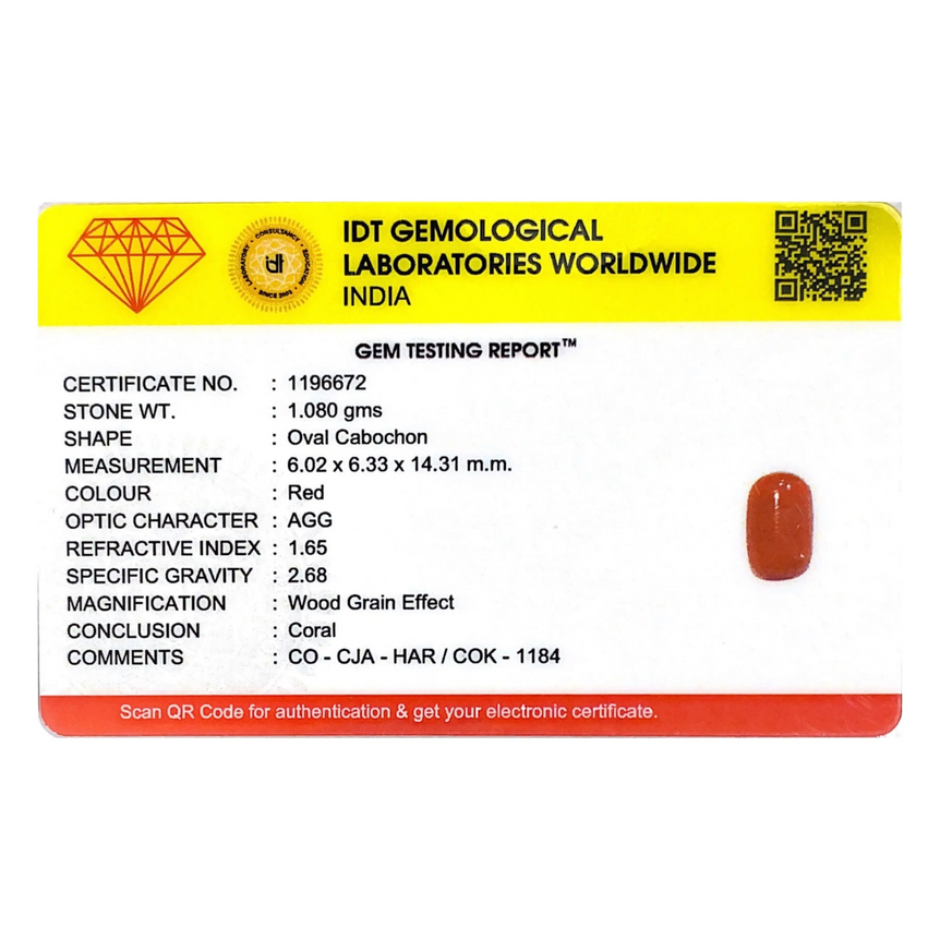 Red Coral - 5.4 Carat