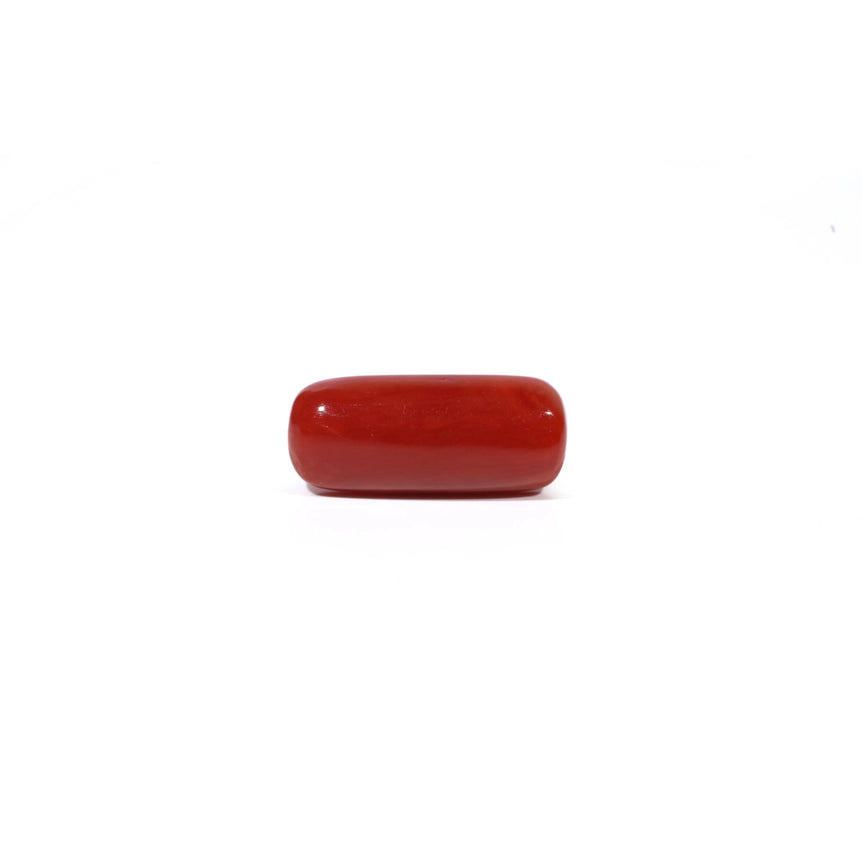 Red Coral - 5.81 Carat - Pramogh