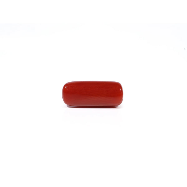 Red Coral - 5.81 Carat