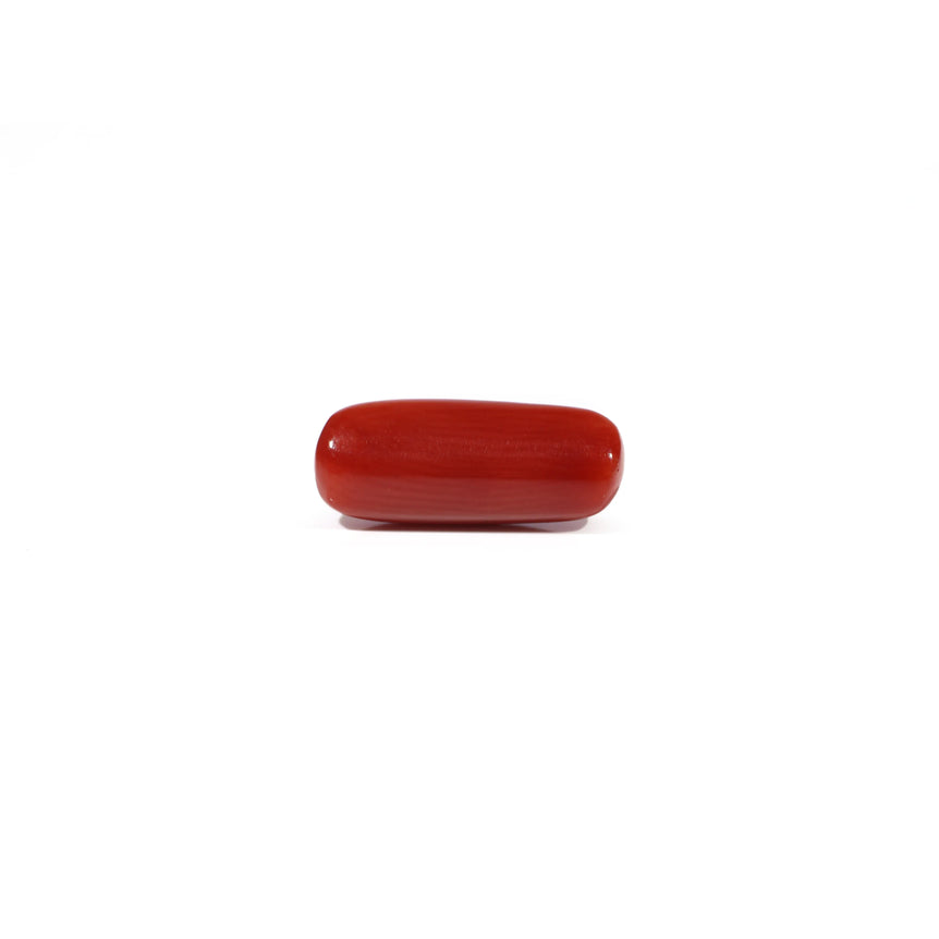 Red Coral - 5.25 Carat