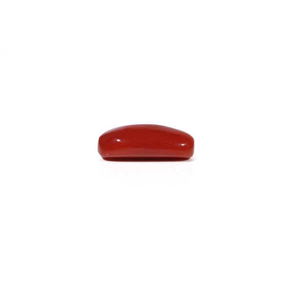 Red Coral - 5.25 Carat