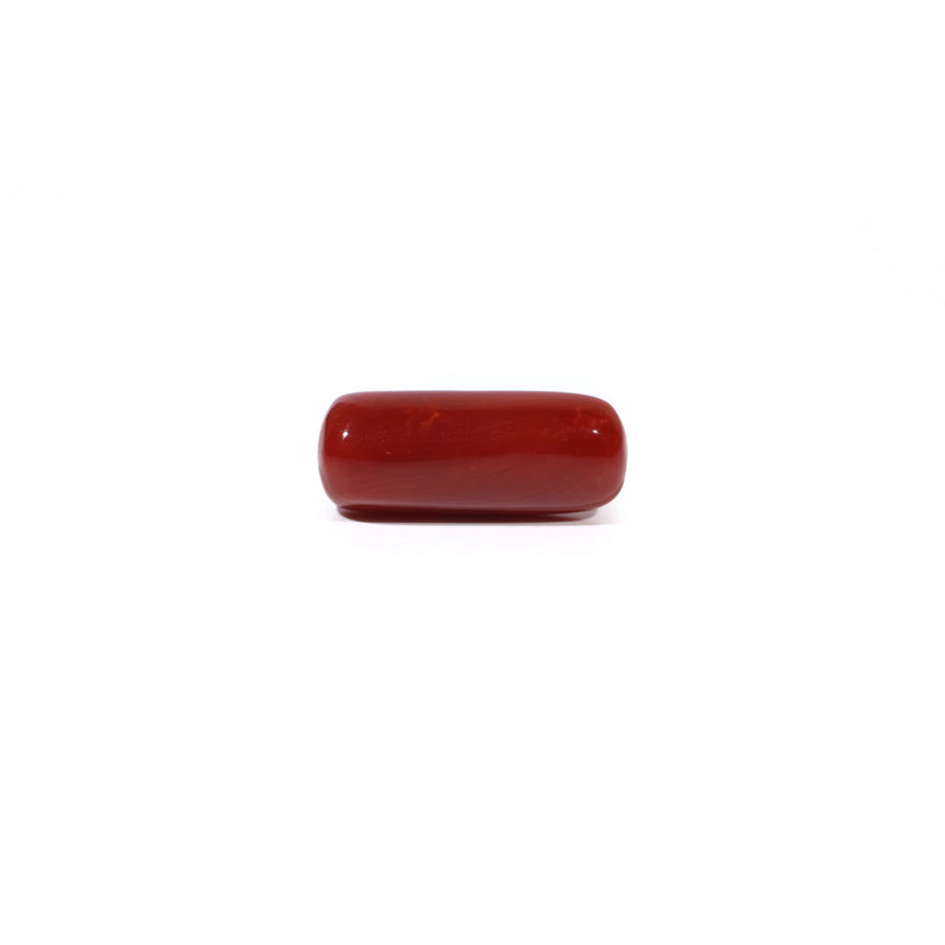 Red Coral - 6 Carat - Pramogh