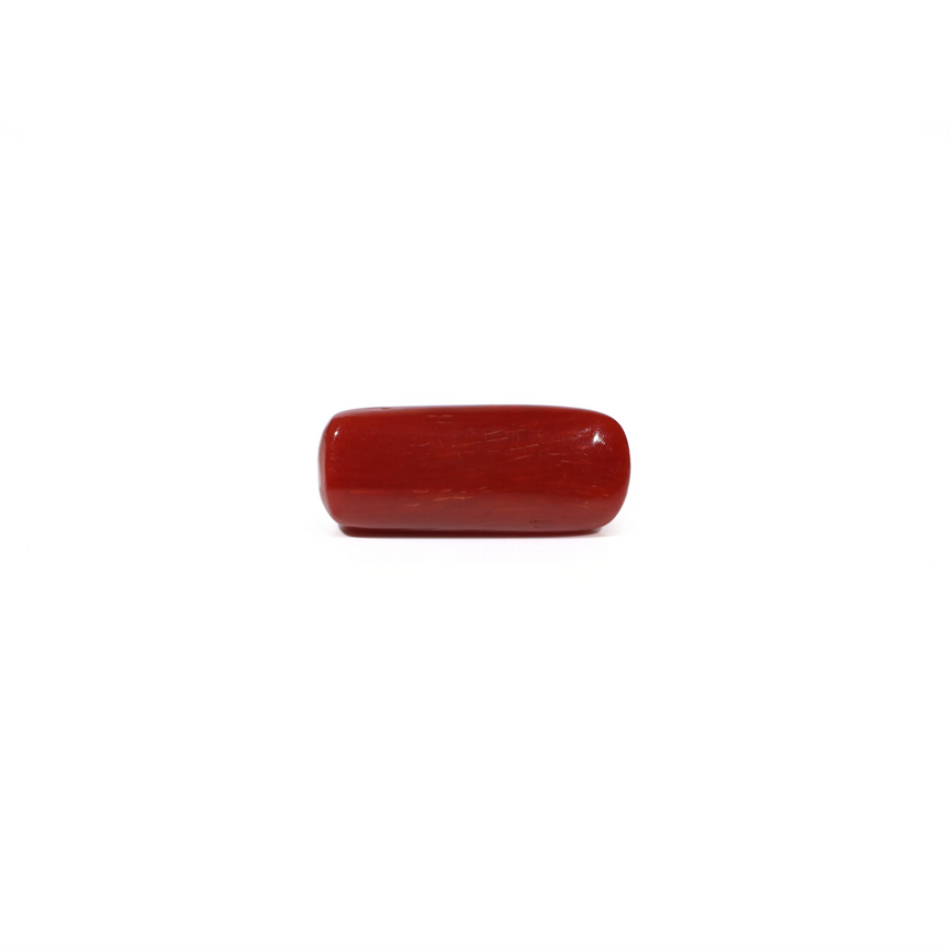 Red Coral - 6 Carat