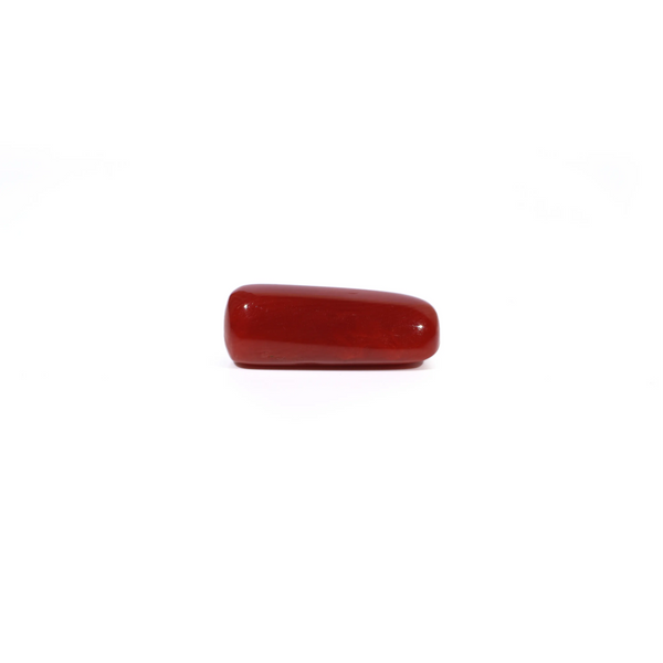 Red Coral - 6 Carat