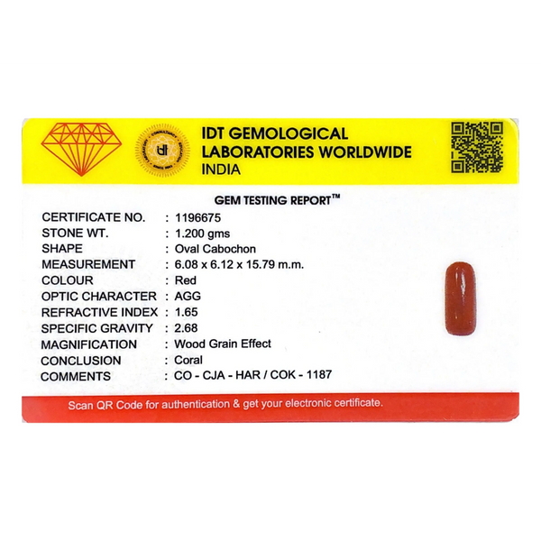Red Coral - 6 Carat