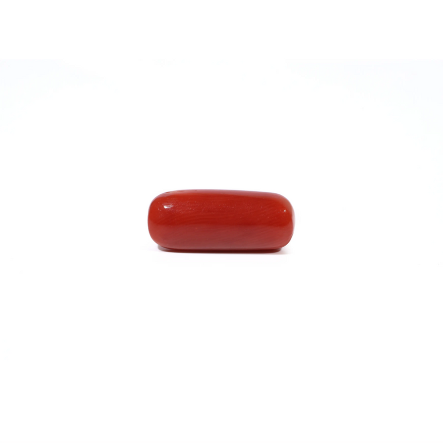 Red Coral - 5.89 Carat - Pramogh