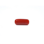Red Coral - 5.89 Carat - Pramogh