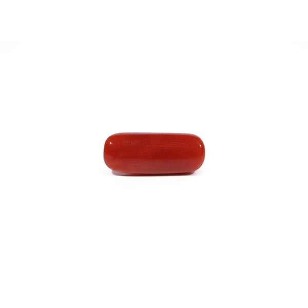 Red Coral - 5.89 Carat