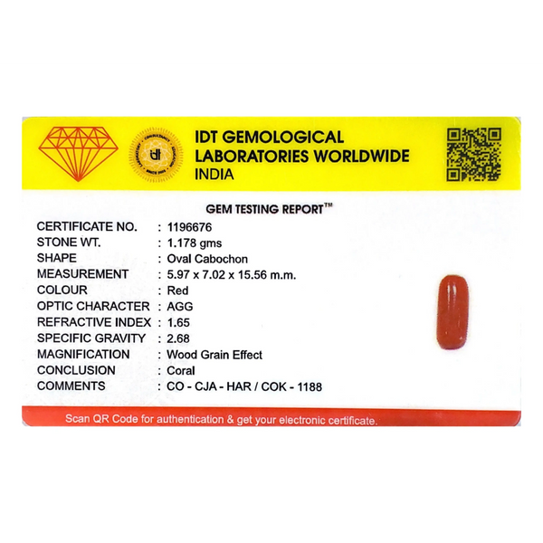 Red Coral - 5.89 Carat