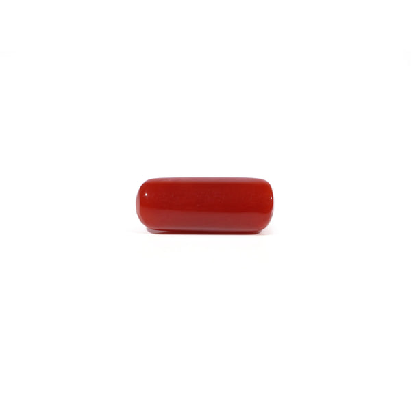 Red Coral - 5.73 Carat