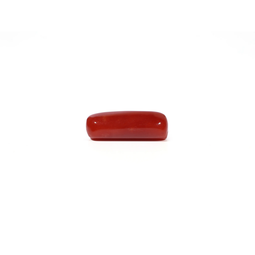 Red Coral - 5.73 Carat