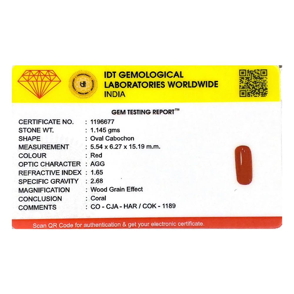 Red Coral - 5.73 Carat