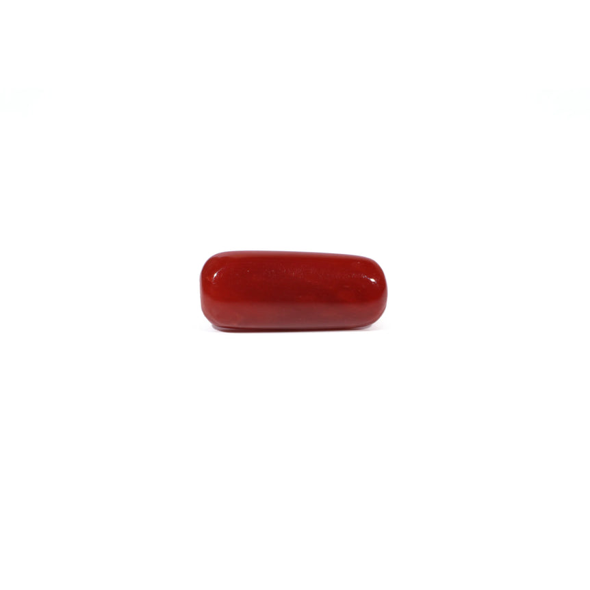 Red Coral - 5.72 Carat - Pramogh