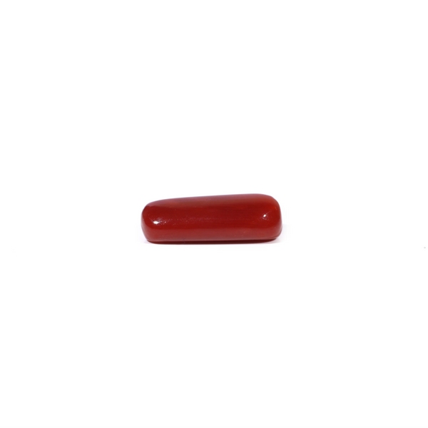 Red Coral - 5.72 Carat