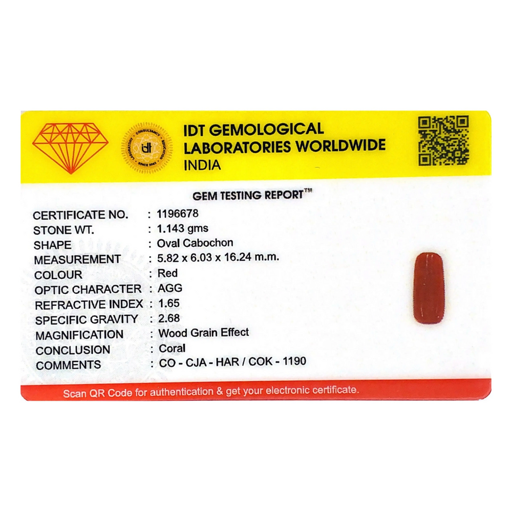 Red Coral - 5.72 Carat