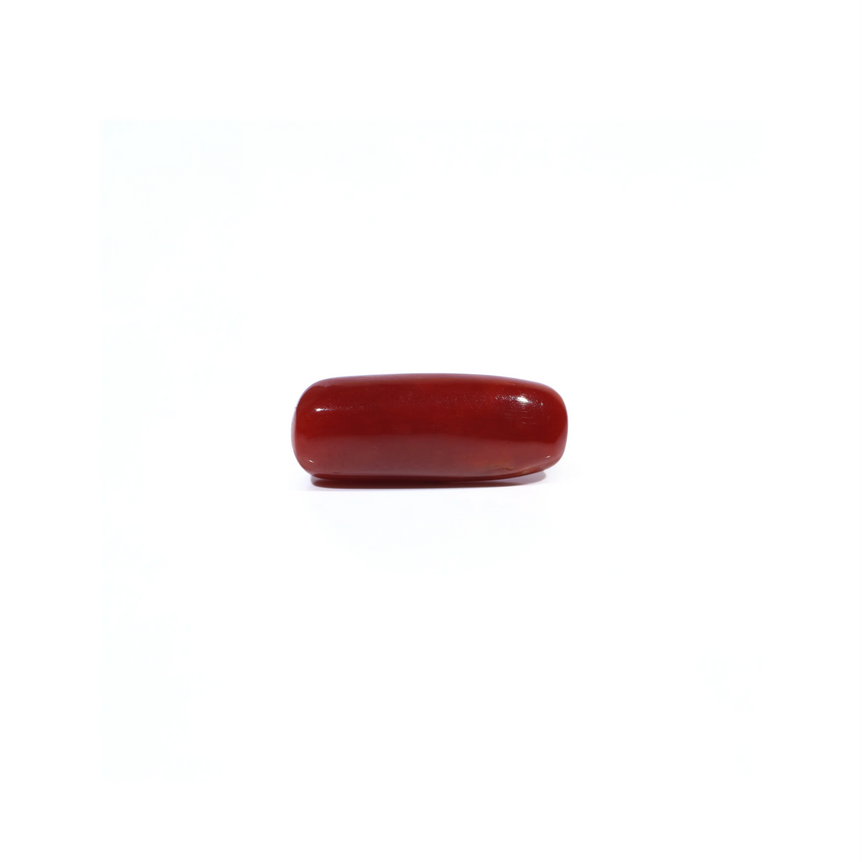 Red Coral - 5.41 Carat - Pramogh