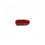 Red Coral - 5.41 Carat - Pramogh