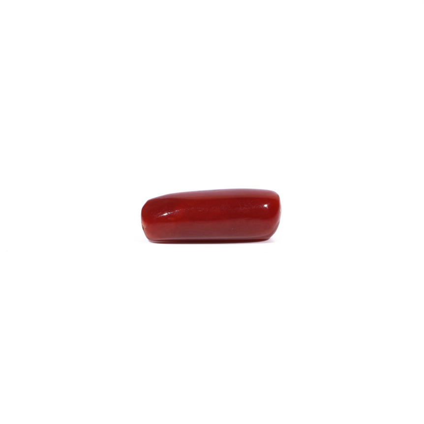 Red Coral - 5.41 Carat