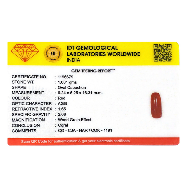 Red Coral - 5.41 Carat