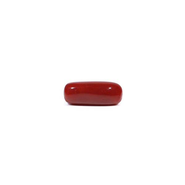 Red Coral - 5.56 Carat - Pramogh