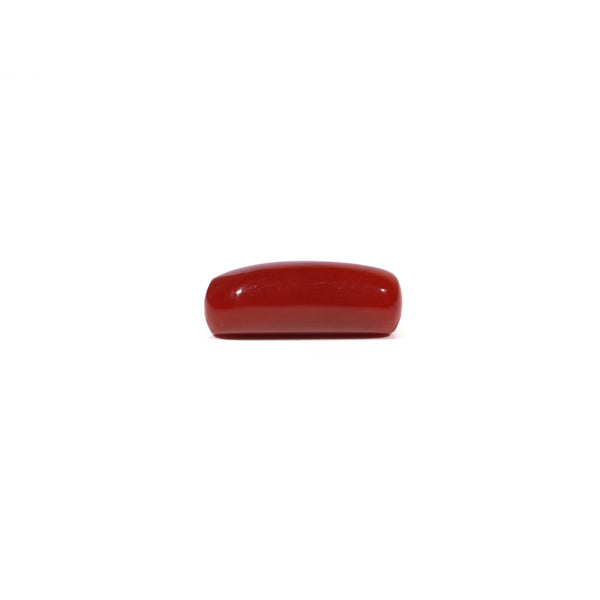 Red Coral - 5.56 Carat