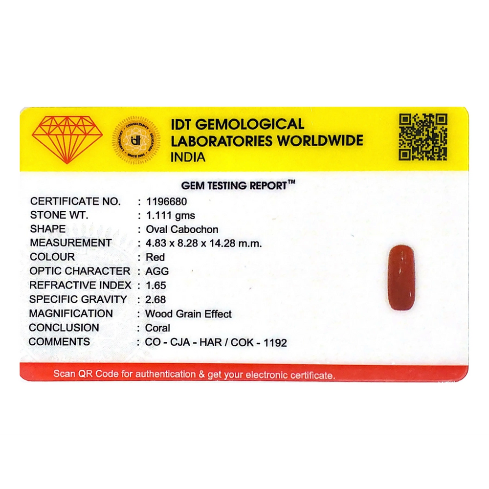 Red Coral - 5.56 Carat