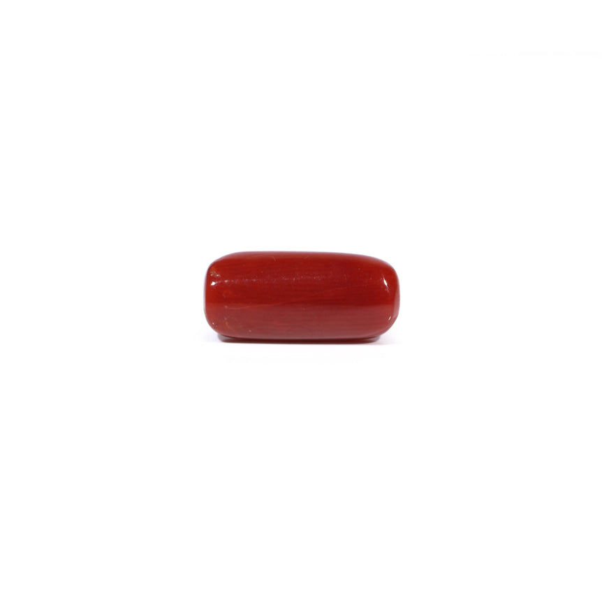 Red Coral - 5.4 Carat