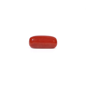 Red Coral - 5.56 Carat - Pramogh