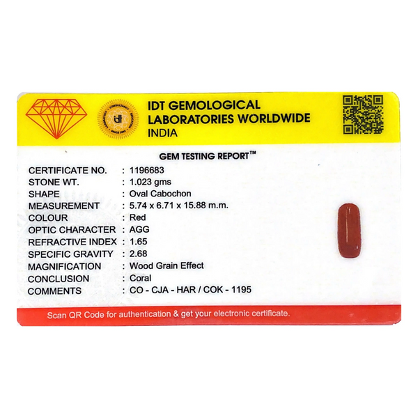 Red Coral - 5.12 Carat